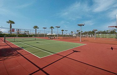 Spor